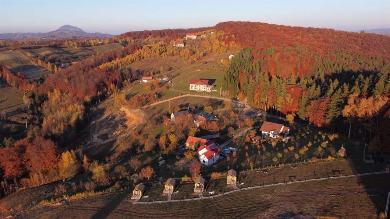 My Little Village Пояна-Мэрулуй Экстерьер фото