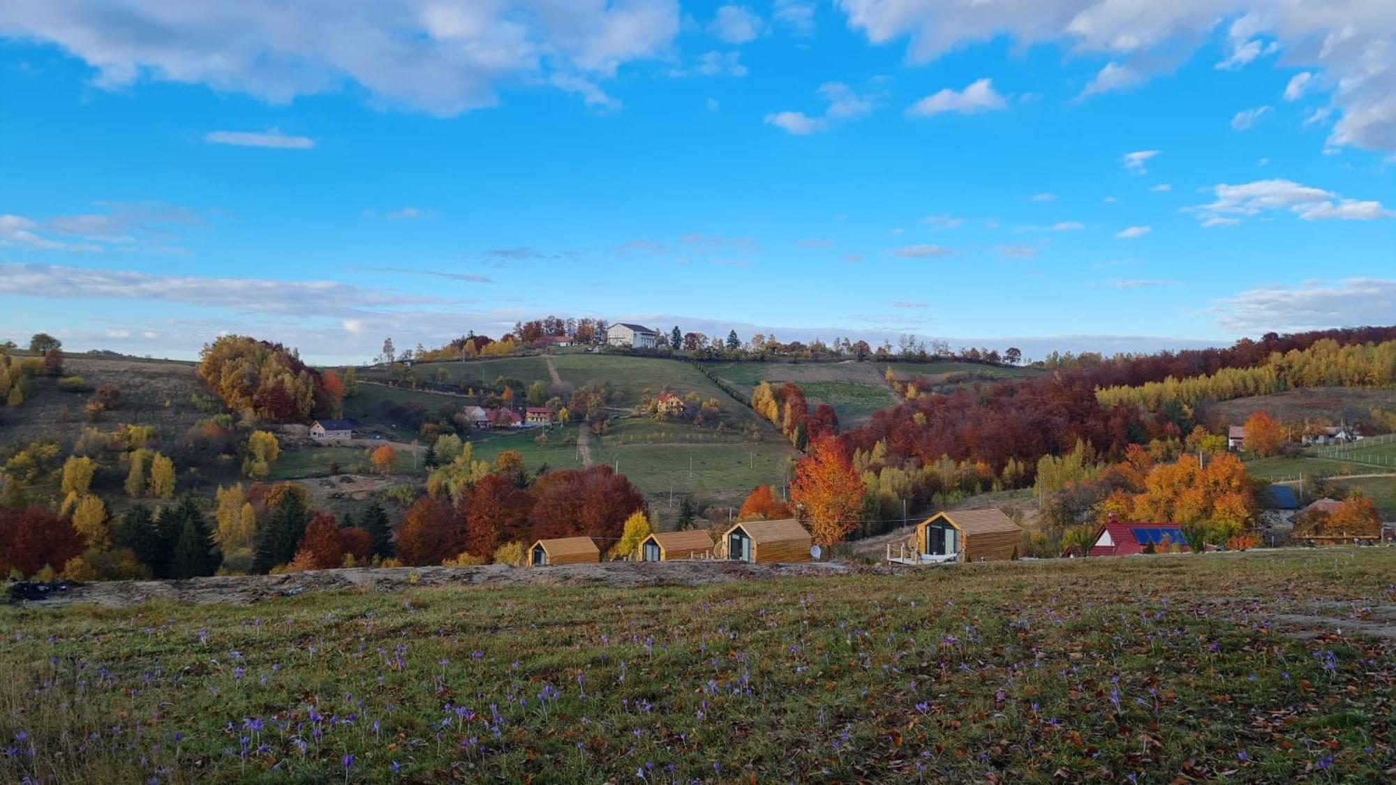 My Little Village Пояна-Мэрулуй Экстерьер фото