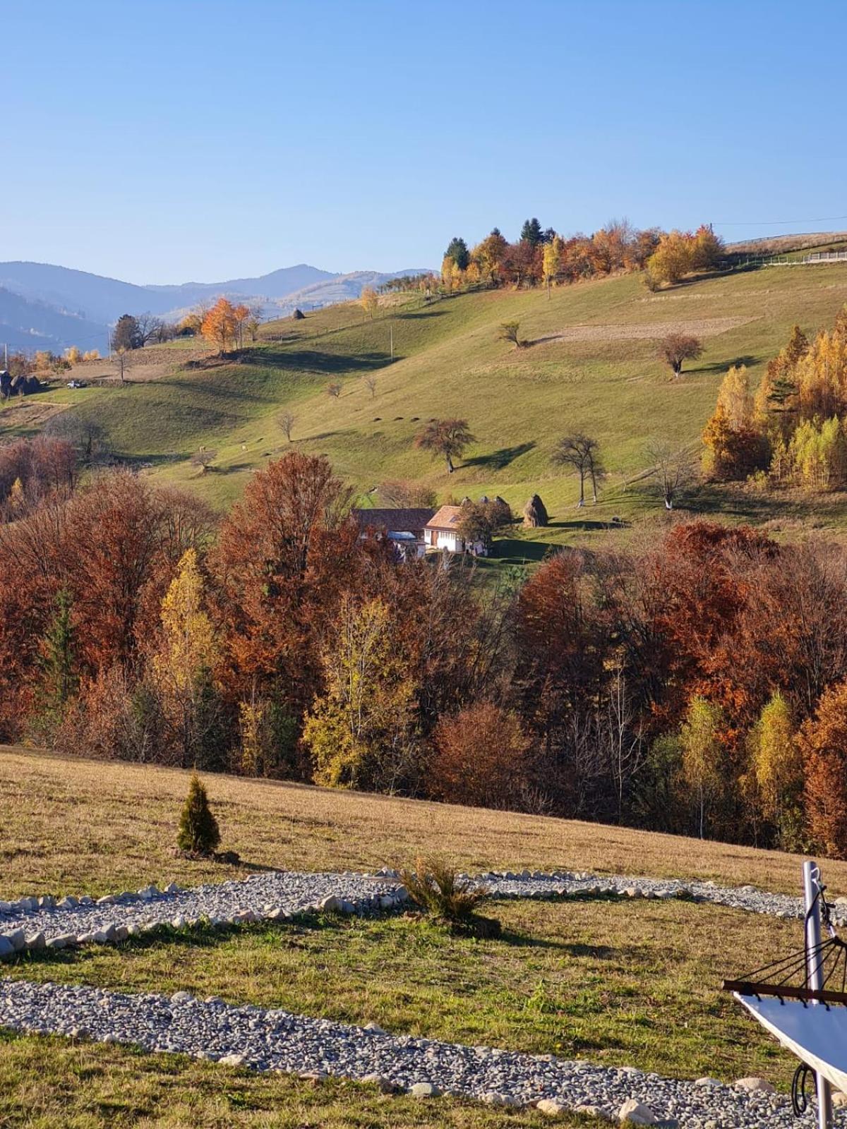 My Little Village Пояна-Мэрулуй Экстерьер фото